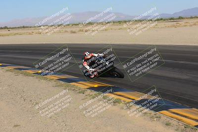 media/Nov-12-2023-SoCal Trackdays (Sun) [[5d1fba4e7d]]/Turn 14 Inside (2pm)/